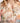 AMOSA PE26 T-shirt Donna Stampa Floreale con Dettagli Applicati